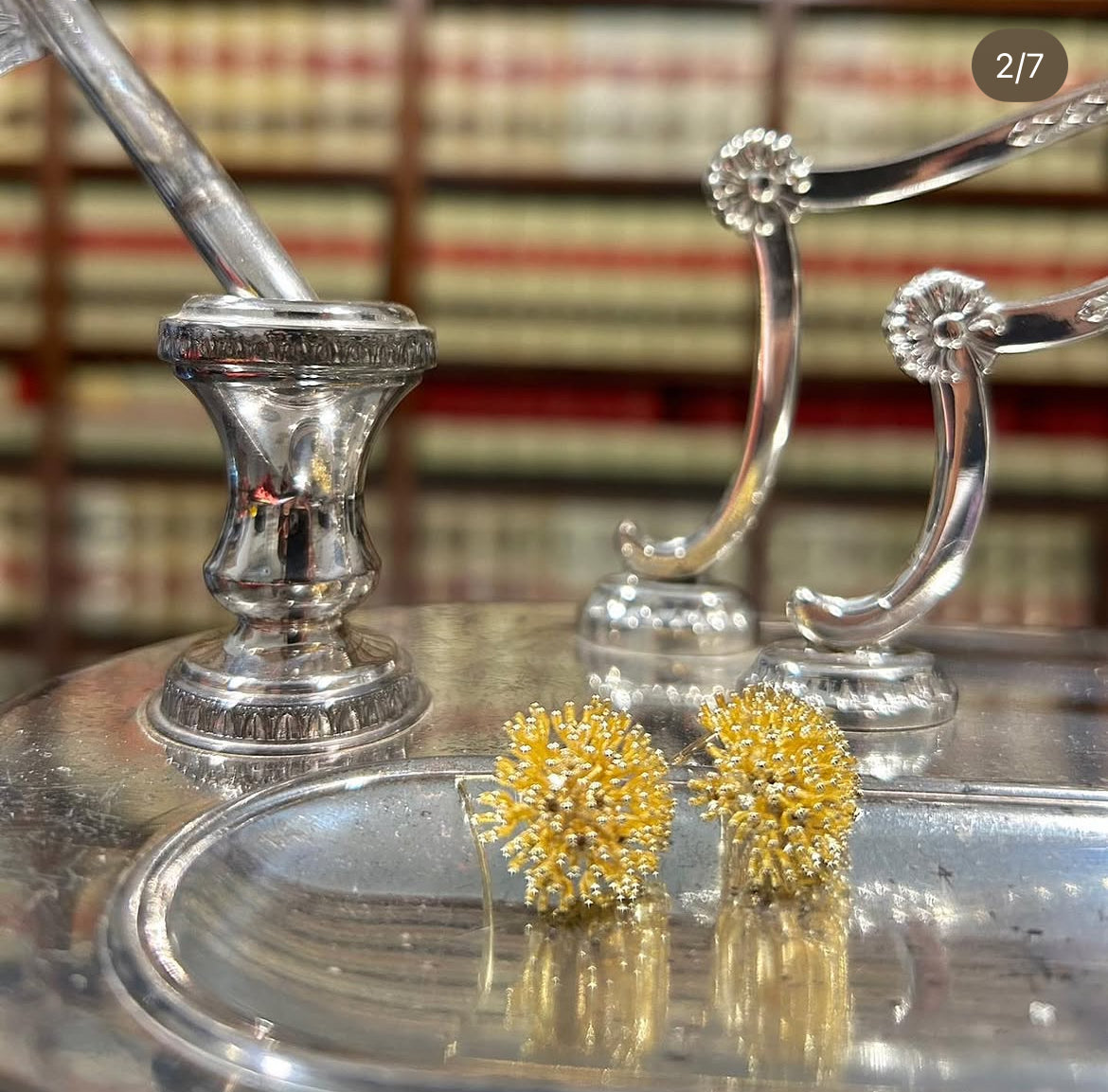 Nature speaks - Earrings